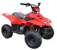 110cc Boulder Sport ATV 4 Wheeler