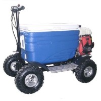 49cc Four Stroke Gas Powered Scooter Cooler