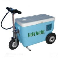 250 Watt Electric Scooter Cooler