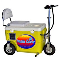 Cruzin Cooler 300 Watt Electric Scooter Cooler