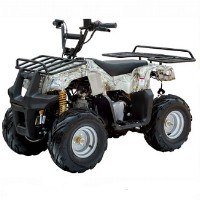 110cc Badger Utility 4 Stroke Fully Auto ATV