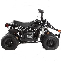 50cc / 110cc Spider Mini ATV