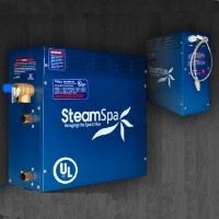 300 Cubic Foot Steam Generator (9 Kw)