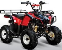 110cc Type-X Utility ATV