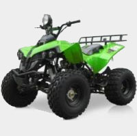 125cc Midsize Fully Automatic ATV with Reverse