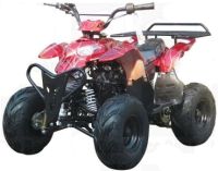 110cc Fully Automatic 4 Stroke ATV w/ Reverse