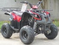 110cc Type X-SE ATV