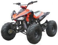 125cc Automatic 4 Stroke Chain Drive ATV w/ Reverse