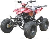 125cc Automatic 4 Stroke ATV w/ Reverse