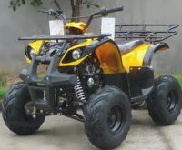 125cc Adventure-SE ATV