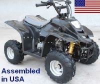 110cc Elite Fully Assembled Automatic ATV