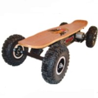 High Quality 800 Watt Dirt Rider Electric Skateboard