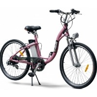 EW800 Electric Bicycle Moped With 250 Watt Lithium Battery