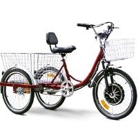 EW88L Electric Trike Bicycle Moped With 450 Watt Motor