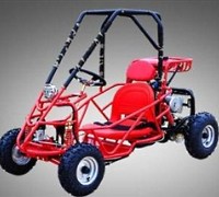 110cc Sting Ray Single Seat Go Kart
