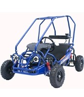 110cc Fully Automatic Cougar Go Kart with Dual Seats & Electric Start