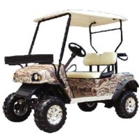 2 Seater Electric Golf Utility Cart