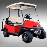 Electric 2 Seater Golf Cart